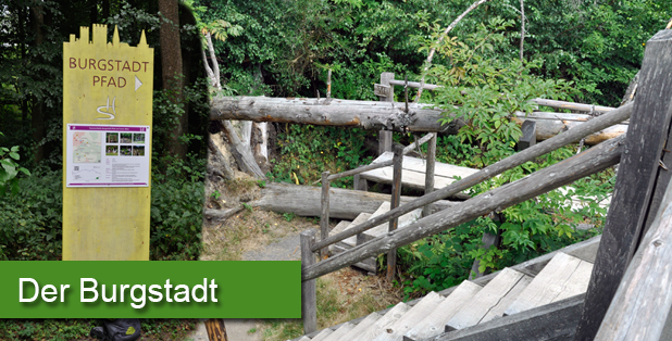 Der_Burgstadt