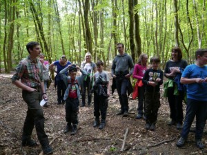 Den Wald mit anderen Augen sehen