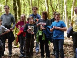 Den Wald mit anderen Augen sehen