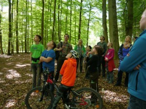 Den Wald mit anderen Augen sehen