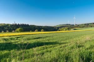 Ornithologischer-Spaziergang-(2)