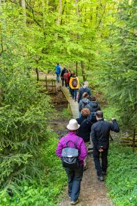 Ornithologischer-Spaziergang-(5)