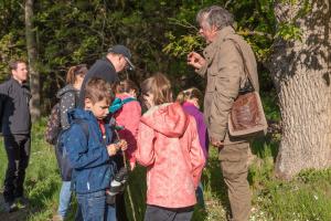 Ornithologischer-Spaziergang-(8)